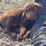 Ersteller:in Vanessa Profilbild