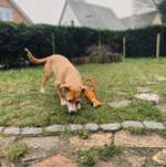 Ersteller:in Natalie Profilbild