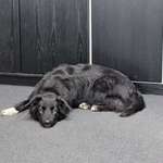 Ersteller:in Jeanette Profilbild