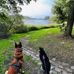 Ersteller:in Finja Profilbild