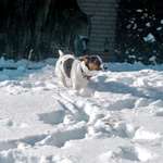 Ersteller:in Jula Profilbild