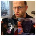 Ersteller:in Alexander Profilbild