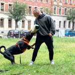 Ersteller:in Tony Profilbild