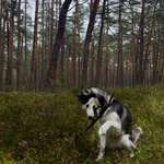 Ersteller:in Lea Profilbild