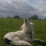 Ersteller:in Mari Profilbild