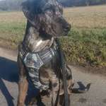 Ersteller:in Tina Profilbild