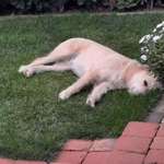 Ersteller:in Doris Profilbild