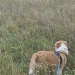 Ersteller:in Mandy Profilbild