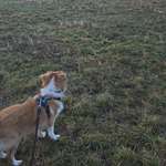 Ersteller:in Mandy Profilbild