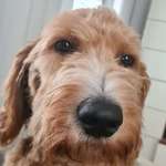 Ersteller:in Ralph Profilbild