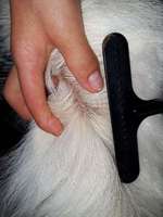 Auffällige Hautstelle-Beitrag-Bild