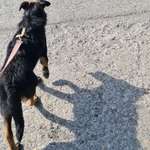 Ersteller:in Kathrin Profilbild