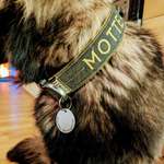 Ersteller:in Stefan Profilbild