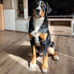 Ersteller:in Tanja Profilbild