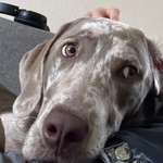 Ersteller:in C. Profilbild