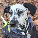 Ersteller:in Sabrina Profilbild