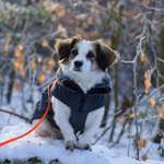 Ersteller:in Lisa Profilbild