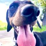 Ersteller:in Julia Profilbild