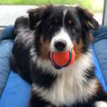 Ersteller:in Vivian Profilbild