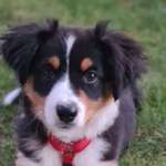 Ersteller:in Yvonne Profilbild