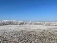 Hundeauslaufgebiet-Am Colmberg-Bild