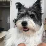 Ersteller:in Sarah Profilbild