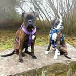 Ersteller:in Anna Profilbild