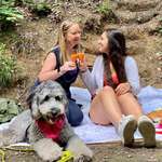 Ersteller:in Miri Profilbild