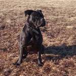 Ersteller:in Denise Profilbild