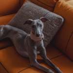 Ersteller:in Anika Profilbild