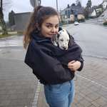 Ersteller:in Aylin Profilbild