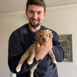 Ersteller:in Bastian Profilbild