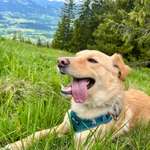 Ersteller:in Vanessa Profilbild