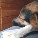 Ersteller:in Jeannette Profilbild