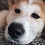 Ersteller:in Fatma Profilbild