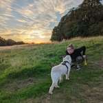 Ersteller:in Sam Profilbild