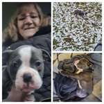 Ersteller:in CHRISTINE Profilbild