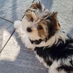 Ersteller:in Michèle Profilbild