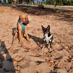 Ersteller:in Ramona Profilbild