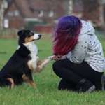 Ersteller:in Lea-Sophie Profilbild