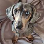 Ersteller:in Cella Profilbild