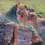 Ersteller:in Rafaela Profilbild