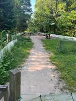 Hundeauslaufgebiet-Hundespielplatz Bad Honnef-Bild