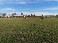 Hundeauslaufgebiet-Haarener Straße-Bild