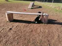 Hundeauslaufgebiet-Haarener Straße-Bild