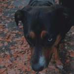 Ersteller:in Felicitas Profilbild