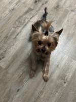 Altersbedingte Vorsorge-Beitrag-Bild