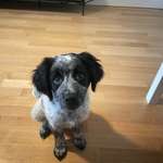 Ersteller:in Jonas Profilbild