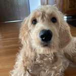 Ersteller:in Nathalie Profilbild