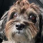 Ersteller:in Birgit Profilbild